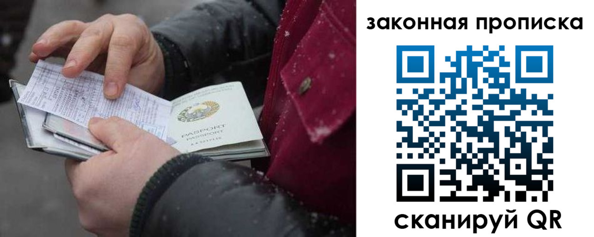 прописка поиск в Зее